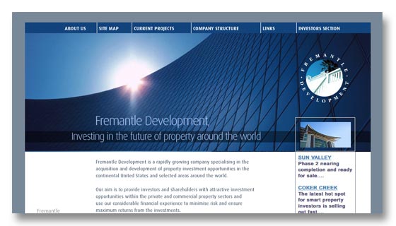 Website development for international property developers